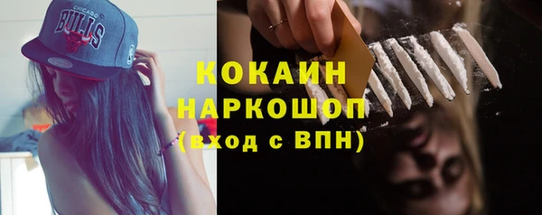 Альфа ПВП Осинники