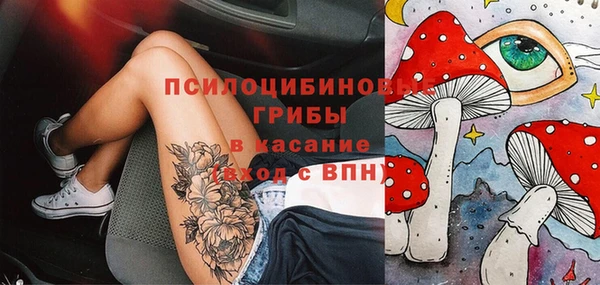 Альфа ПВП Осинники